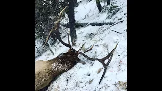 INCREDIBLE solo Elk hunt Idaho | S2E01 | Limitless Outdoors