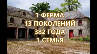 Ирландия / Старая ферма / Пиво/ Ballykilcavan Farm