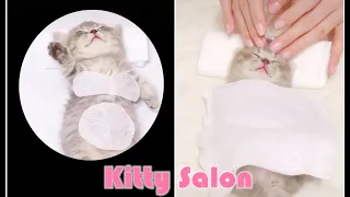 😍Kitty Salon - Super cute kitten baby cat having SPA treatment full service