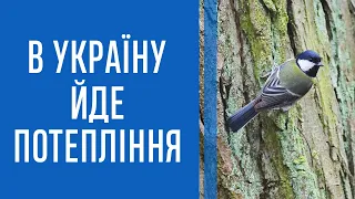 Укргідрометцентр попереджає про нетипову погоду: до чого готуватись