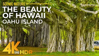 Beautiful Oahu Island in 4K HDR - Ocean Waves of Famous Honolulu Beaches - Ala Moana & Waikiki Beach