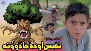 Nafees ao Da Jado Ona | The Megical Tree | Pashto Funny Video | Pashto Drama 2023