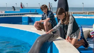 Дельфин Берни [Русский трейлер] Bernie The Dolphin, 2018