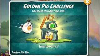 Angry Birds 2 Golden Pig Challenge How To Play Golden Pig Challenge Today Matilda Mayhem #310224