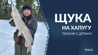 Щука на хапугу. Пикник с детьми.