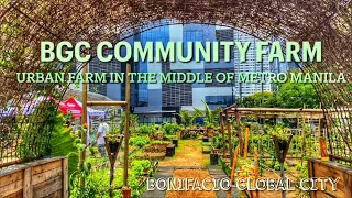 BGC Community Farm Tour | Urban Farm In The Middle of Metro Manila | BGC, Taguig City