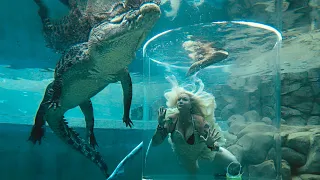 SURVIVING the CAGE OF DEATH with GIANT CROCODILES‼️