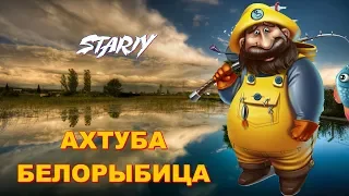 Русская Рыбалка 4 ⏪ АХТУБА БЕЛОРЫБИЦА ⏩ STARIY (РР4,RF4) Как ловить Живца