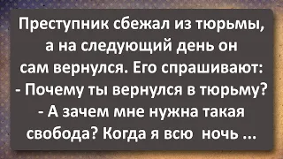 Зачем Такая Свобода! Сборник Самых Свежих Анекдотов!