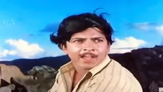 Nagarahavu, music