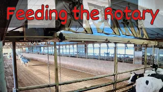 Getting Cow Groups for the Rotary Parlor