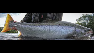 The 60lb monster salmon - raw footage