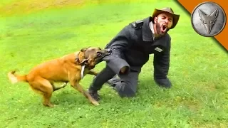 BAD BITE! - K9 Attack