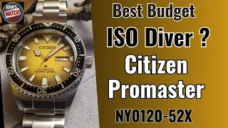Best Budget ISO Rated Diver? Promaster NY0120-52X