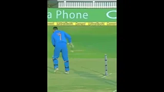 Ms Dhoni stamping #shorts #dhoni #msdhoni #msd