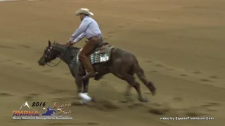 Cromed Out Sunset - Open Futurity Finals Champion 223.5