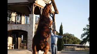 Hanging with Matt #83 | Taking Gooder to his new home! (Tour of Toyon Ranch)