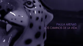 Los Caminos De La Vida 🚶‍♀- Paula Arenas (Cover Acustico) 🎸