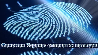 Феномен Корана: отпечатки пальцев