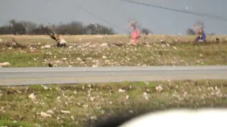 Elgin, Texas Tornado 3-21-2022