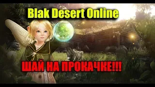 Black Desert - СТРИМЧИК С ШАЙ!!!БОГАТЕЕМ НА ГЛАЗАХ!!!(НУБ НА ПРОКАЧКЕ)