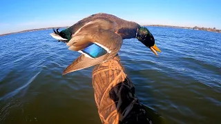 Duck Hunting Big Water! (Ducks and Geese) | Duck Hunting 2022