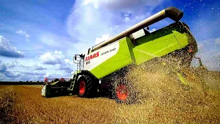 CLAAS Lexion 540 am Weizen dreschen