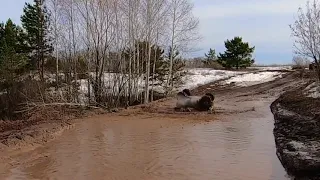 Мотодрайв Казань! atv_motodrive. Перевернул квадроцикл 😎