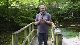 Josh is back again, this time to talk us through how to care for your Wasabi Plant