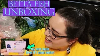 BETTA FISH UNBOXING | My New Betta From It's Anna Louise!