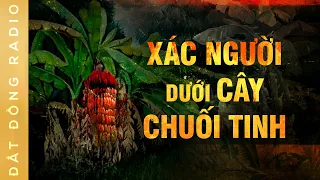 Nghe truyện ma : QUỶ TRONG VƯỜN CHUỐI - Chuyện về cây chuối ra trái đỏ tươi màu máu