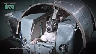 1950s: LAIKA SPACE DOG