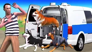 कुत्ते का ट्रक Dog Truck हिंदी कहानियां Hindi Kahaniya