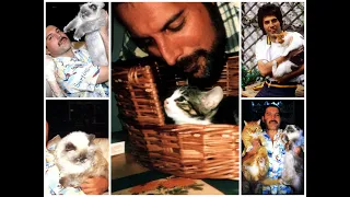 Freddie Mercury's Love Of Cats