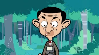 Nature Photographer | Mr Bean | Cartoons for Kids | WildBrain Kids