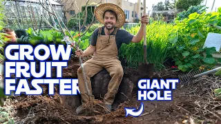 How To Grow  A Fruit Tree Faster | The Multiyear Hole