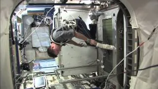Running on the International Space Station With Astronaut Doug Wheelock