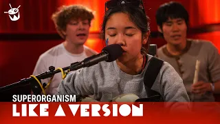 Superorganism cover Post Malone/MGMT 'Congratulations' for Like A Version