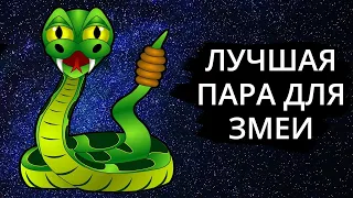 Совместимость знака Змея  - лучшая пара