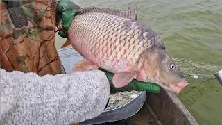 That's Fishing! 100 kg of fish in 20 minutes!