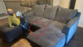 Семья купила диван и привезла домой, но через день собака начала громко на него лаять и вот почему