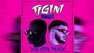 Tigini-remix dj song| ( circuit mix ) remix by dj Reme x dj star