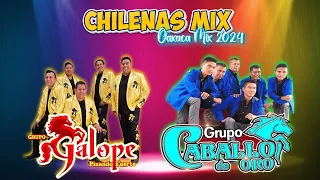 Grupo Galope ft Grupo Caballo de Oro - Puras Chilenas De Oaxaca Mix - Chilenas Nuevas 2024