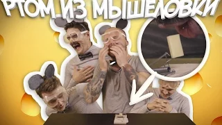 МЫШКИ - ДОСТАТЬ СЫР РТОМ ИЗ МЫШЕЛОВКИ.