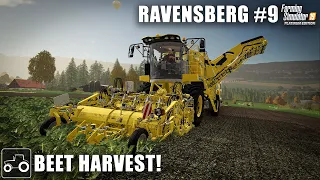 Harvesting Sugar Beet & Corn, Ravensberg #9 Farming Simulator 19 Timelapse