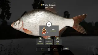 Russian Fishing 4 - White Bream Trophy 964g - Winding Rivulet