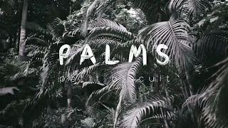 Palms by Petit Biscuit but slowed and tuned down