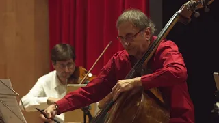 LUCIAN CIORATA double bass and TÓTEM ENSEMBLE plays MOZART violin concerto no.5