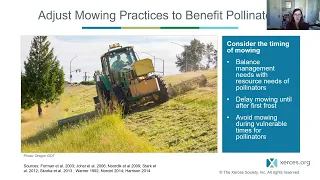 Roadsides and Pollinator Conservation