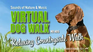 Anxiety Busting Countryside Virtual Dog Walk 🐕 Sounds of Nature and Music🐕 Dog TV (NO ADS) #dogtv